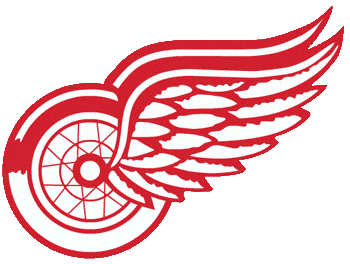 Detroit Red Wings 1973-1984 Alternate Logo iron on heat transfer